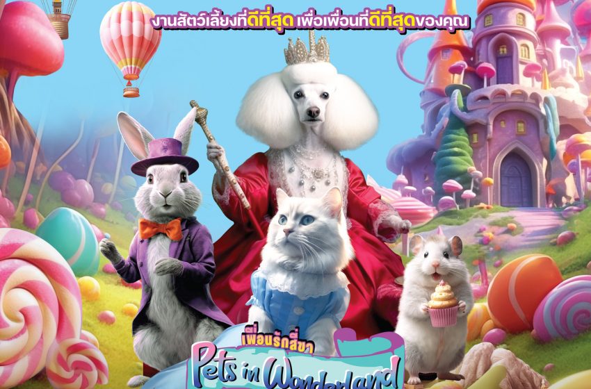  ห้ามพลาด! “Pet Expo Championship 2024”  ช้อปปิ้งสินค้าและบริการ สำหรับสัตว์เลี้ยง และสนุกกับกิจกรรมสุดพิเศษเอาใจคนรักสัตว์